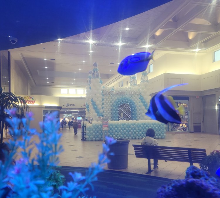 The Aquarium at Eastwood (Niles,&nbspOH)